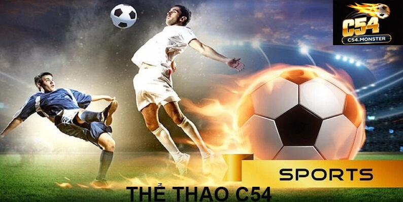 cá cược thể thao c54