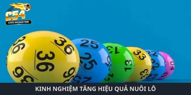 Kinh nghiệm tăng hiệu quả nuôi lô